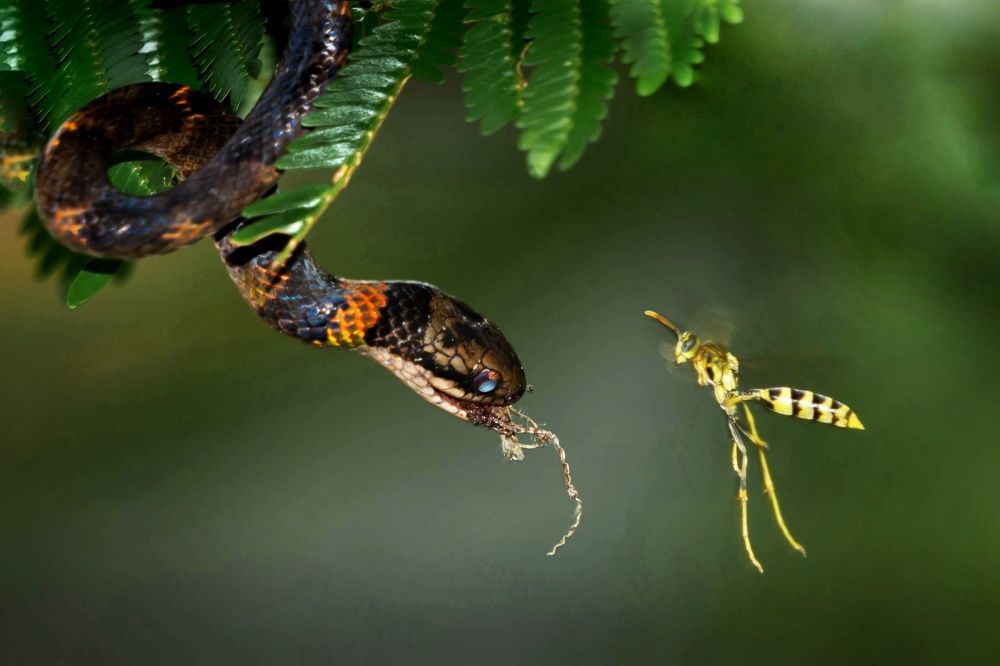 Photograph by Mónica Castaño