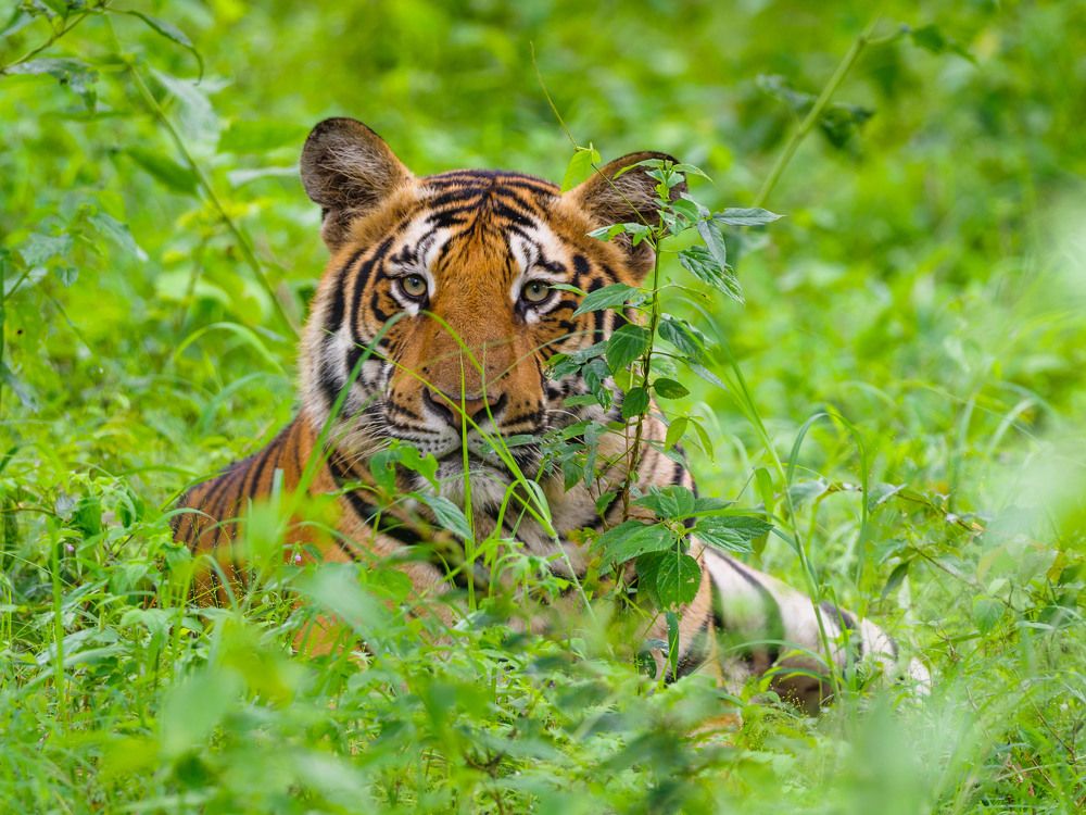 Photograph by Venkat Mangudi