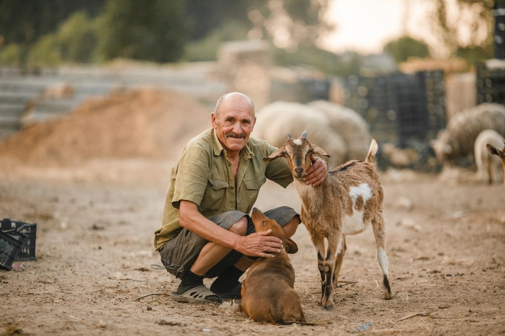 Photograph by Анастасия Лагуновская