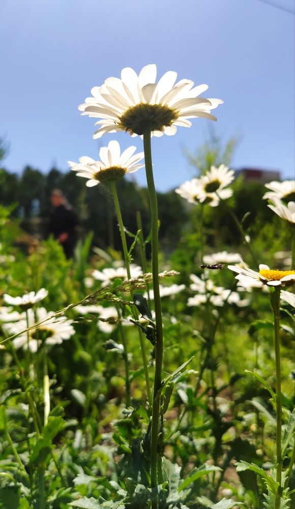 Photograph by Svetlana Stenkina