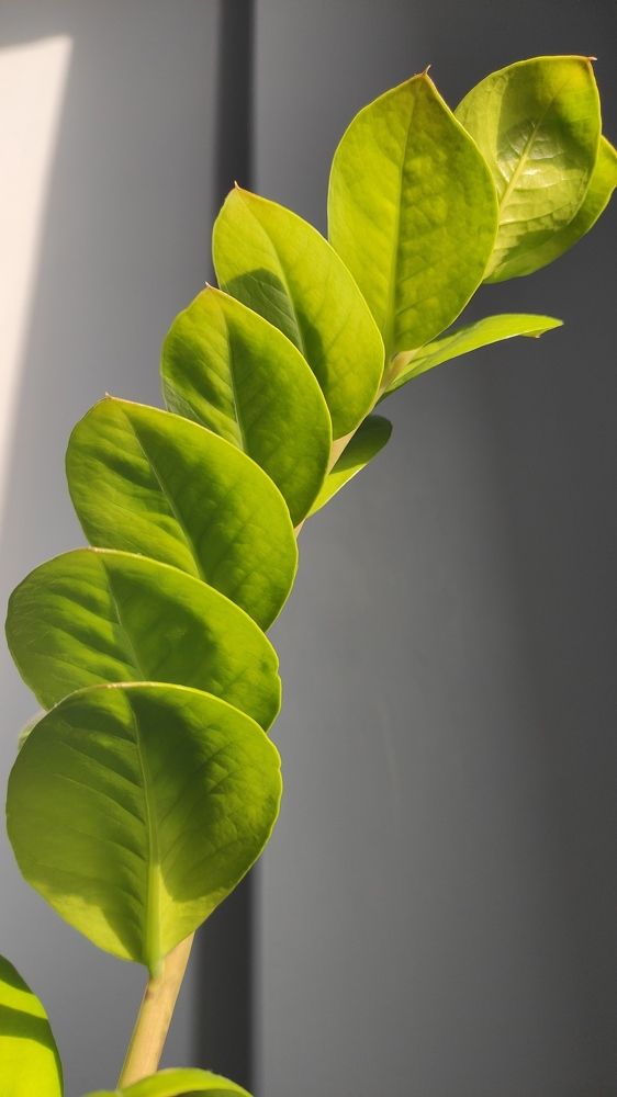 Photograph by Дарья Щербакова