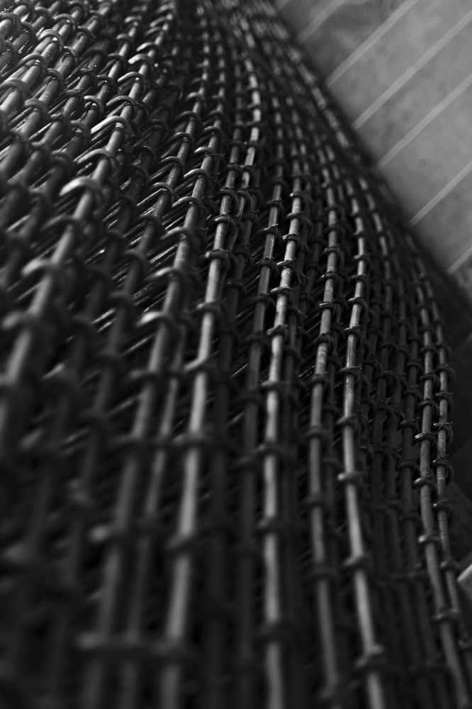 Photograph by Faten Aouini Ben Ahmad