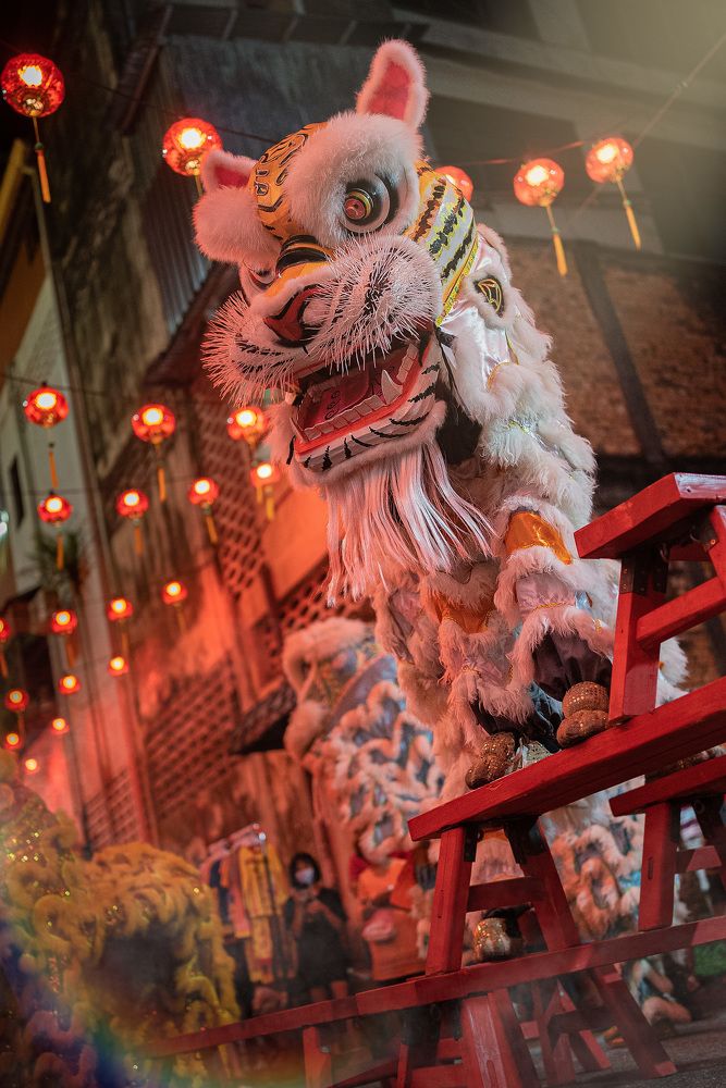 Lion Dance