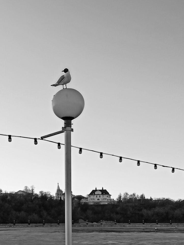 Photograph by Наталия Степанова