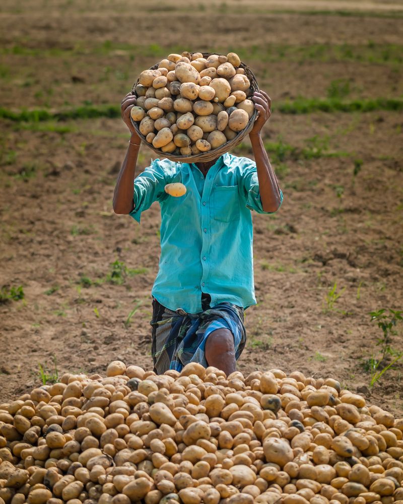 Photograph by Anirban Pan