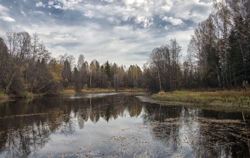 Фотография автора Леонид Колчанов