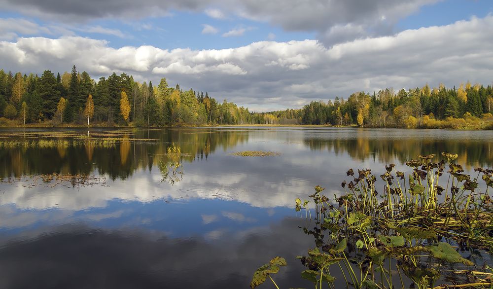 Фотография автора Леонид Колчанов