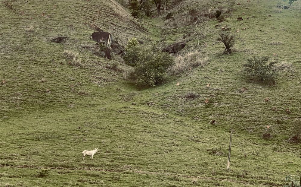 Photograph by Kristen Cusumano