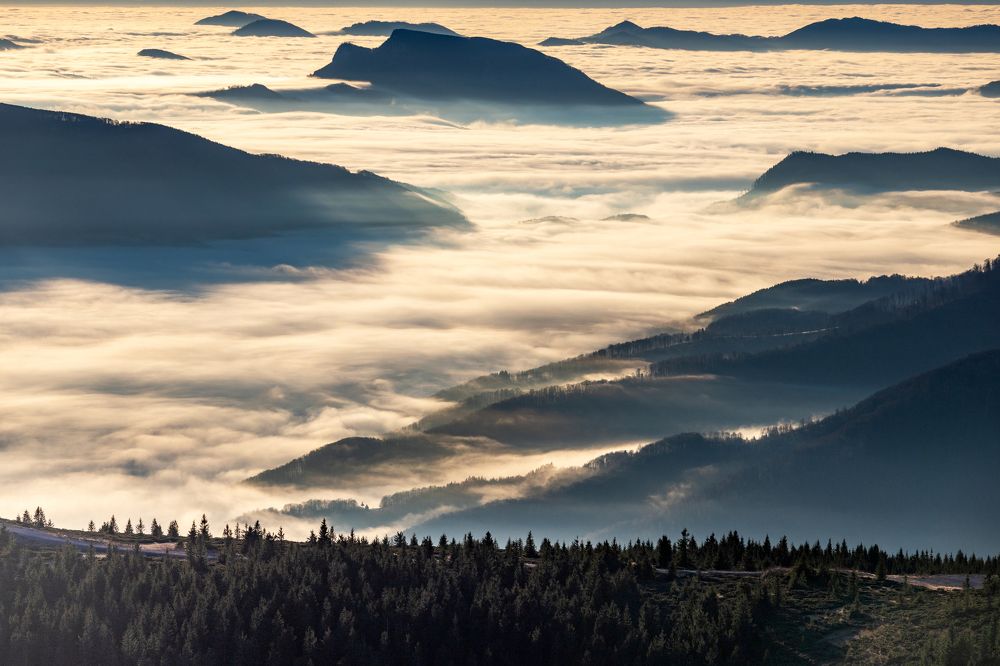 Фотография автора Marius Turc