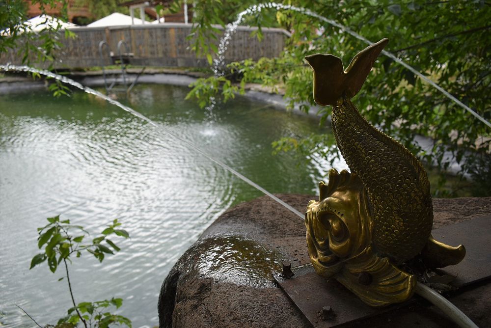 Photograph by Сергей Иванович Носов