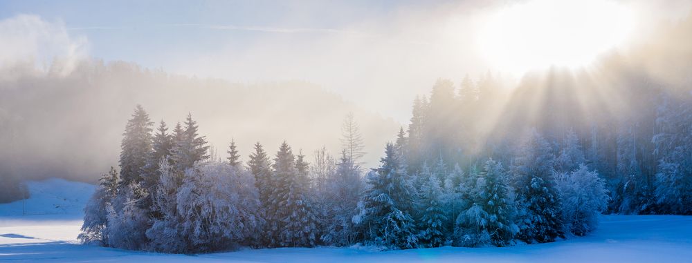 Photograph by Kitty Bern