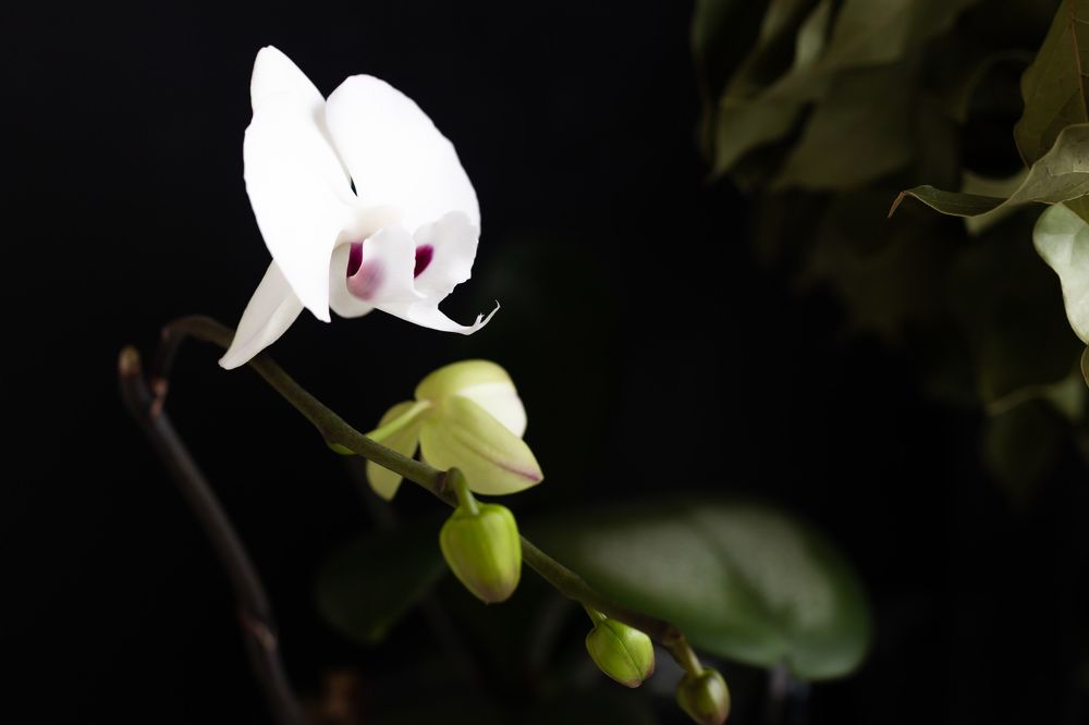 Photograph by Елена Яхнина