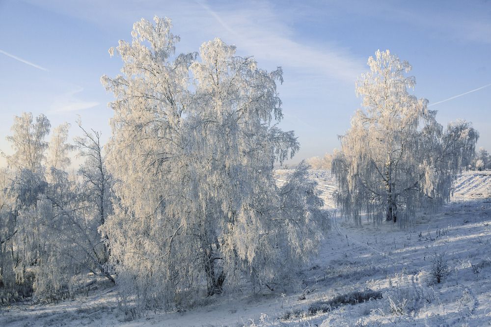 Фотография автора Рамиль Фаттахов