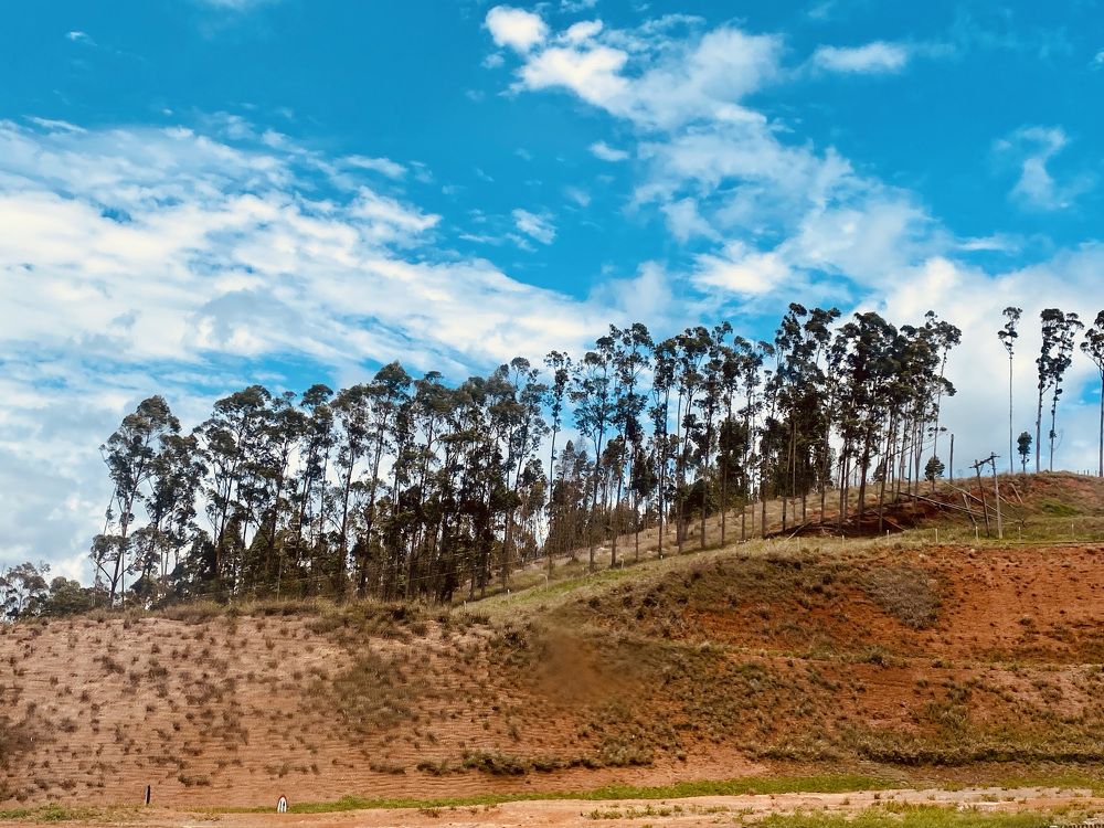 Photograph by Kristen Cusumano