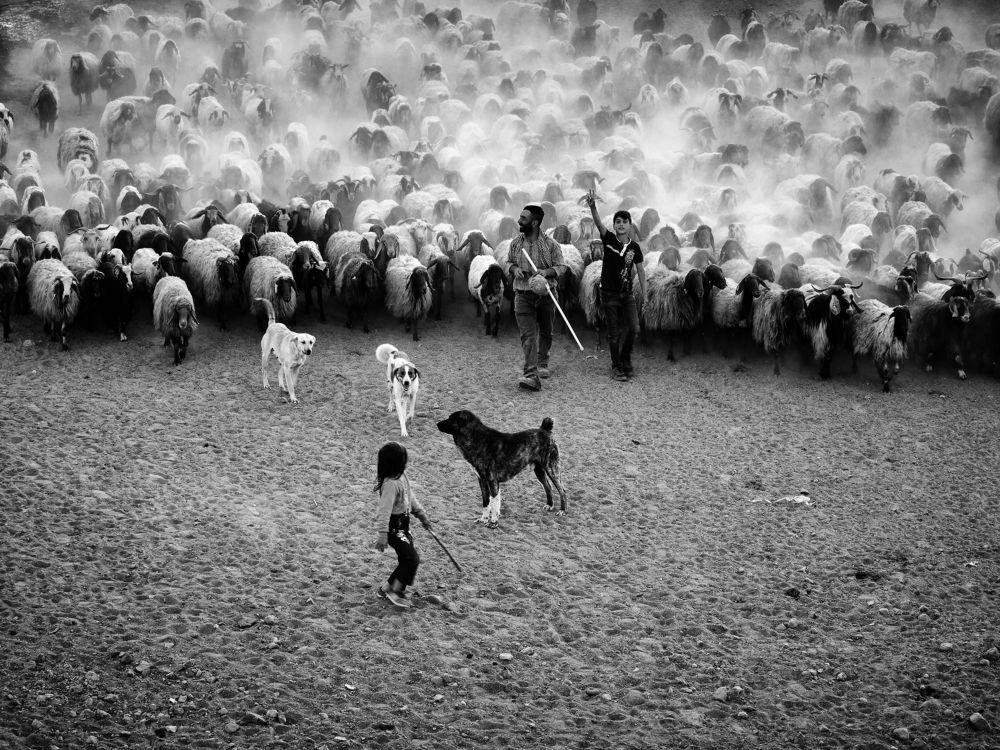 Фотография автора Gılcan Mete Delibay