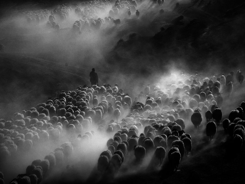 Фотография автора Gılcan Mete Delibay