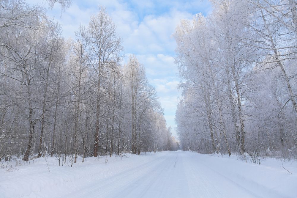 Photograph by Татьяна Афанасьева