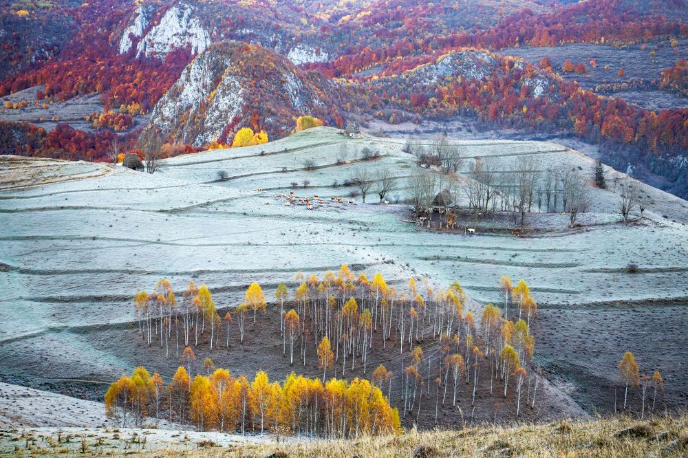 Фотография автора Marius Turc