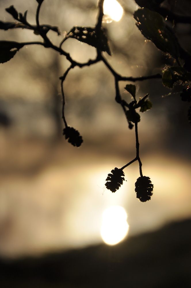 Photograph by Ольга Струкалина