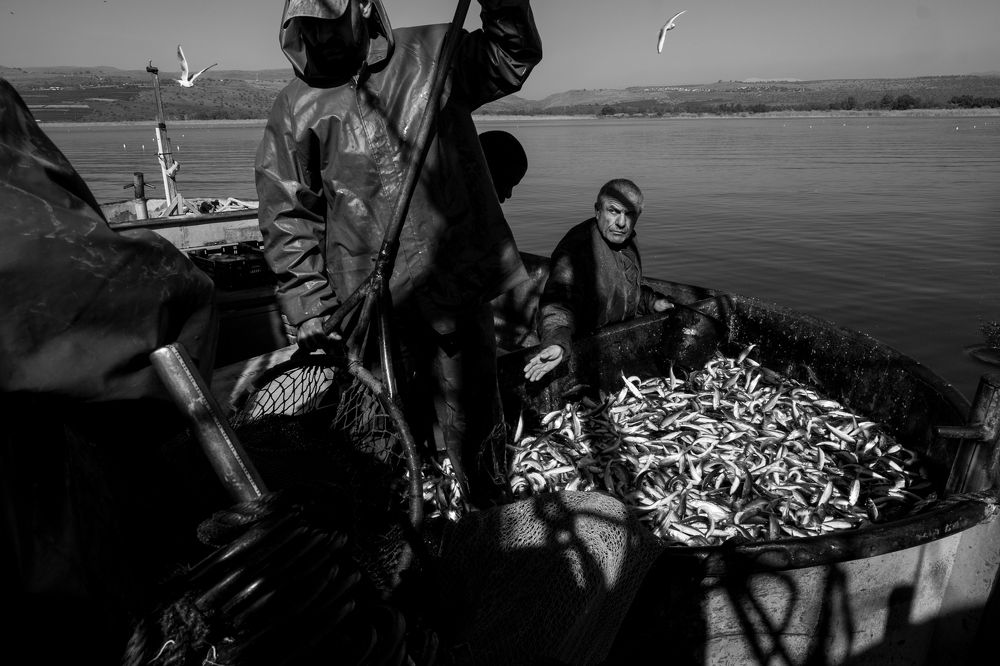 Photograph by Moshe Shalit