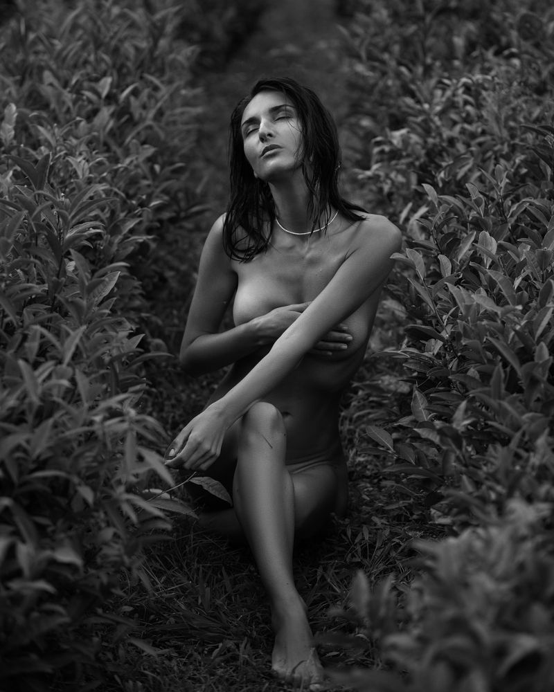 Photograph by Анна Снежкина