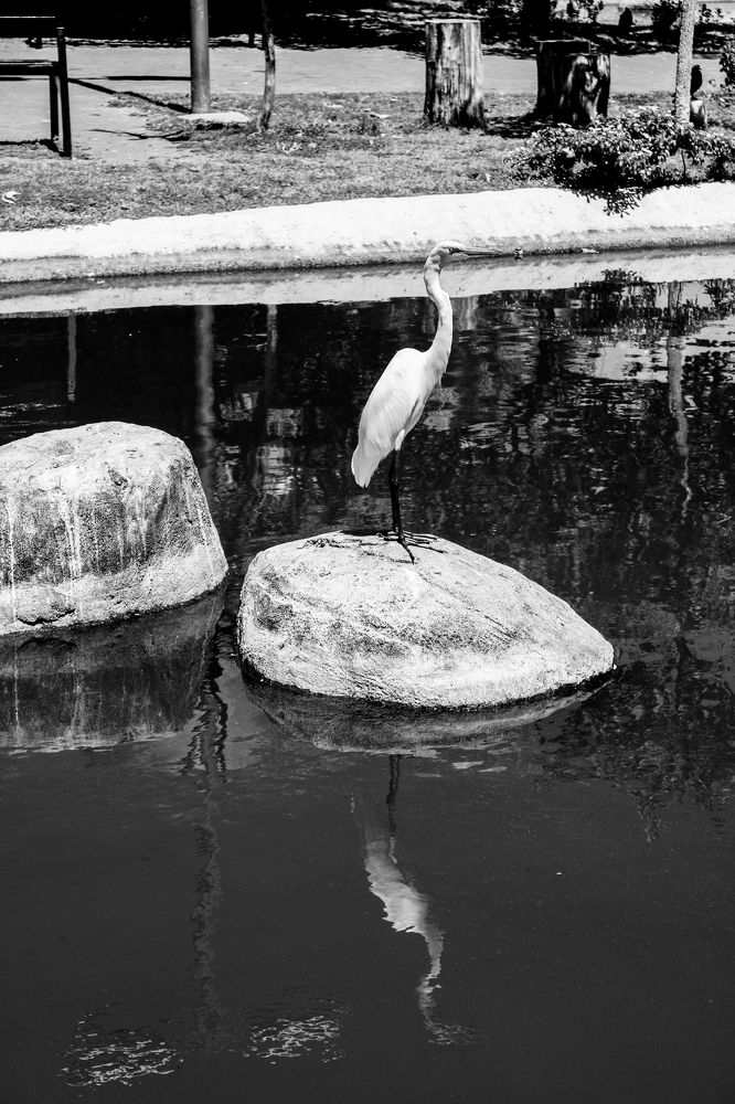 Photograph by José Flávio Cavalcante