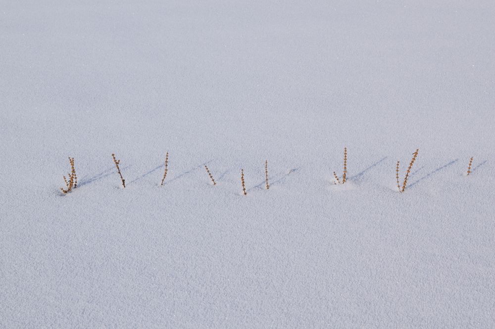Photograph by Татьяна Дорожко