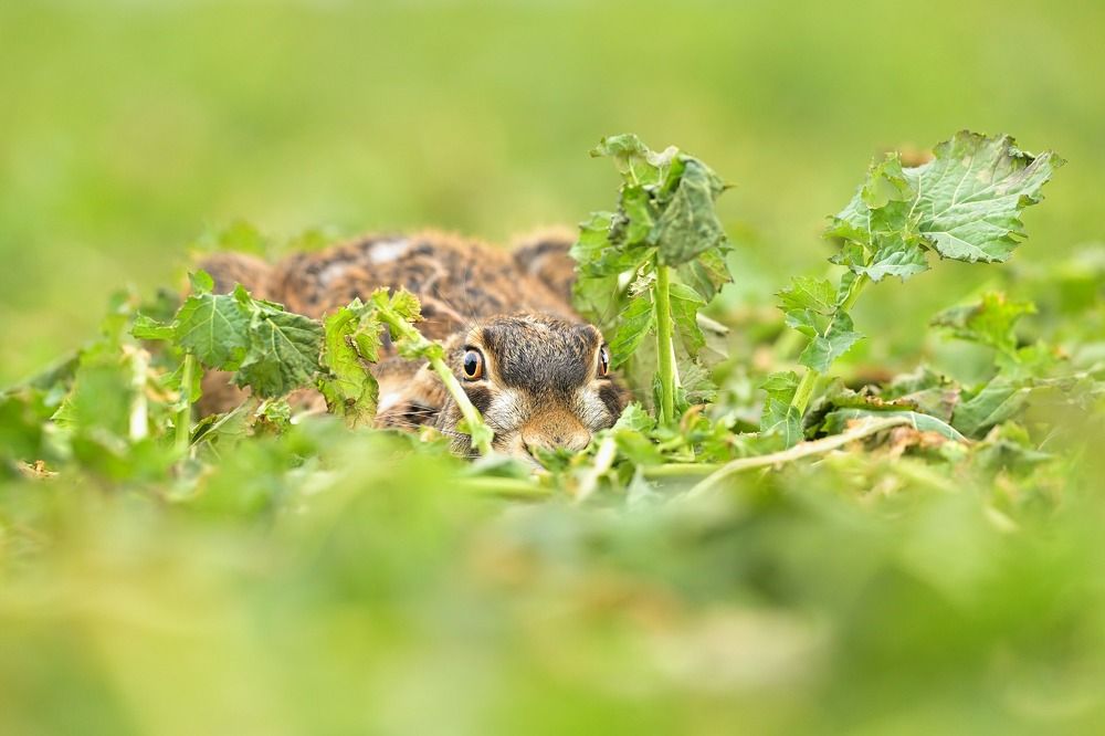 Photograph by Lubomir Novak