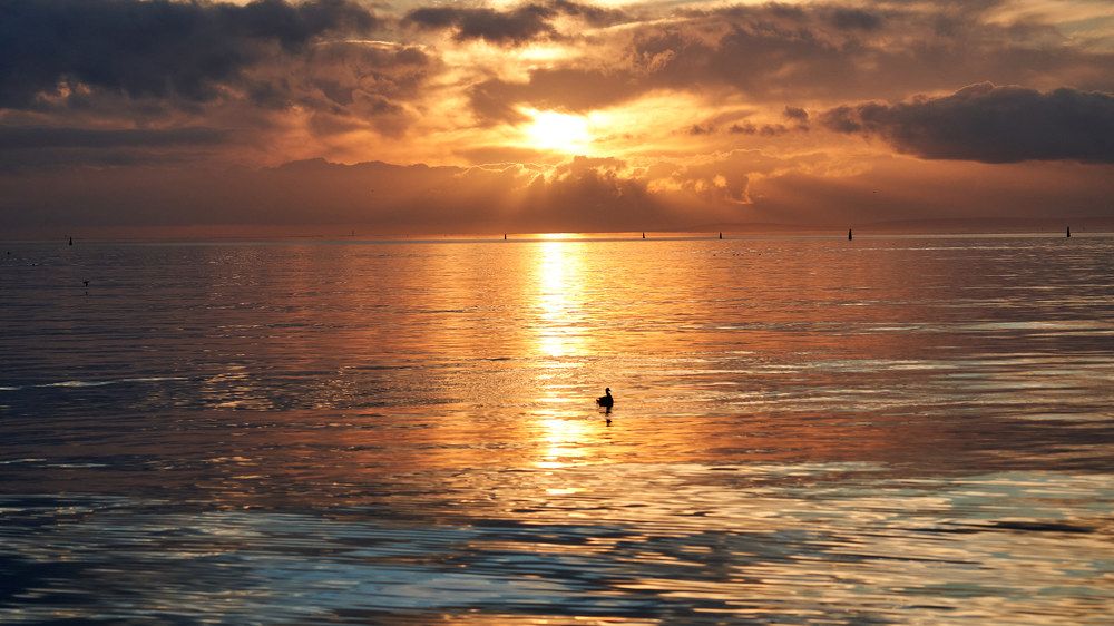 Photograph by Борис Панкин