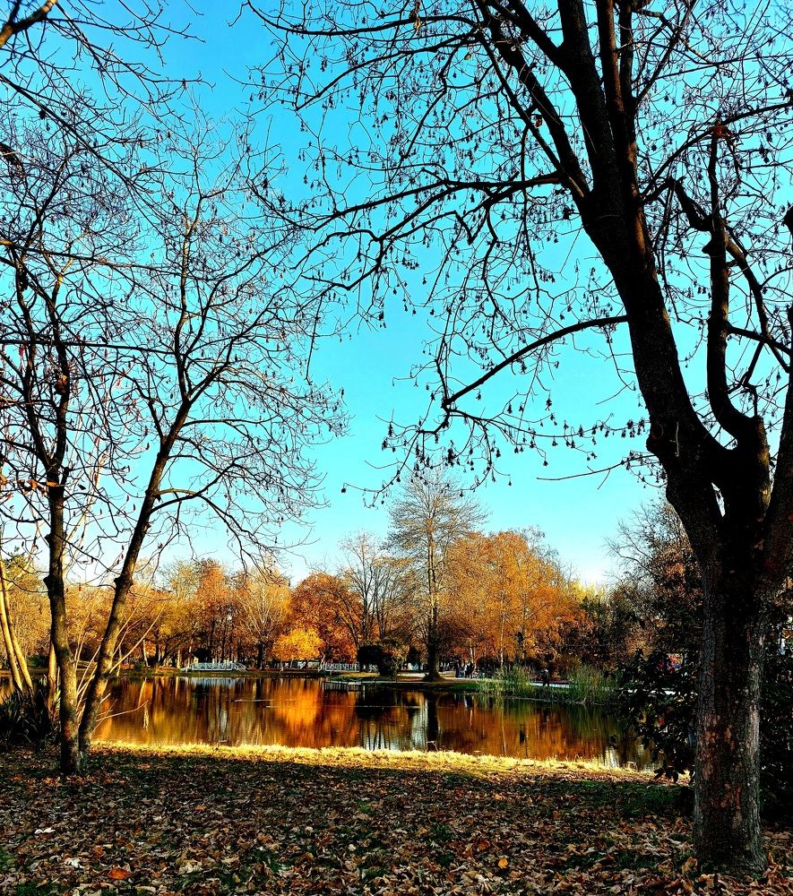 Photograph by Dafinka Sokoloska