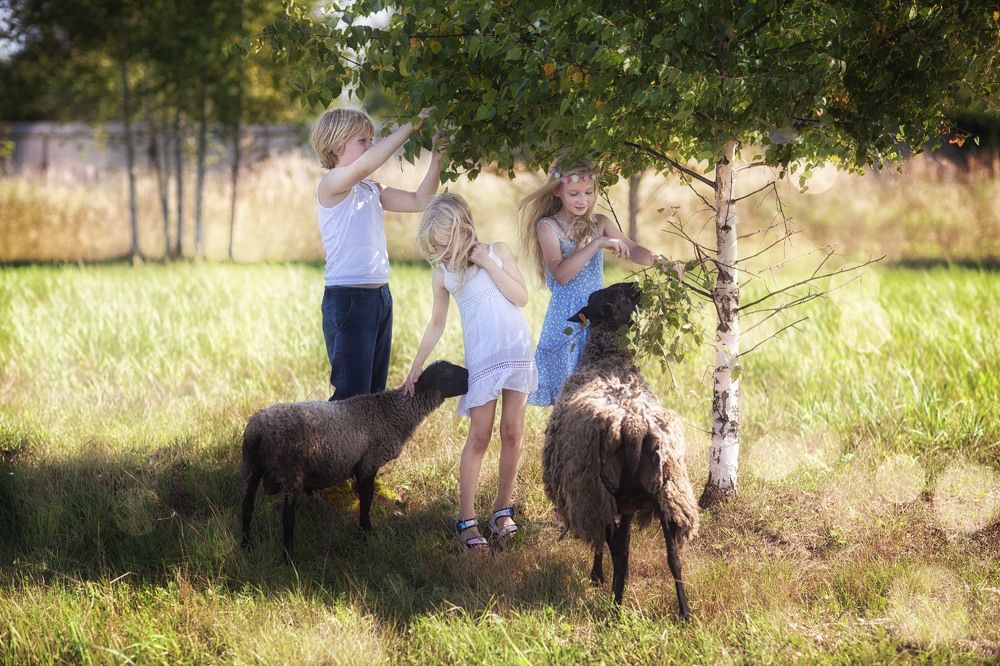 Современная пастораль