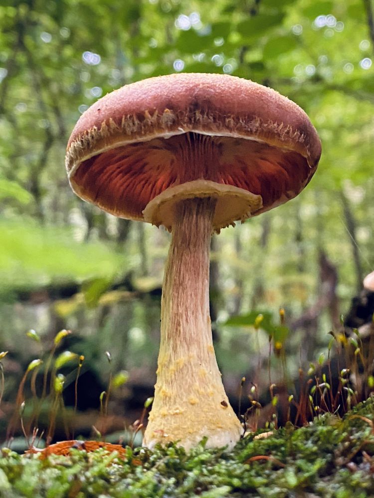 Photograph by Александр Арасланов