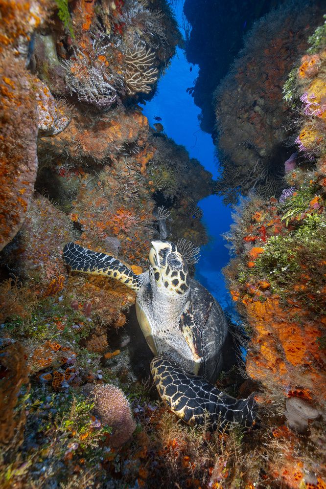 Photograph by Gustavo Costa