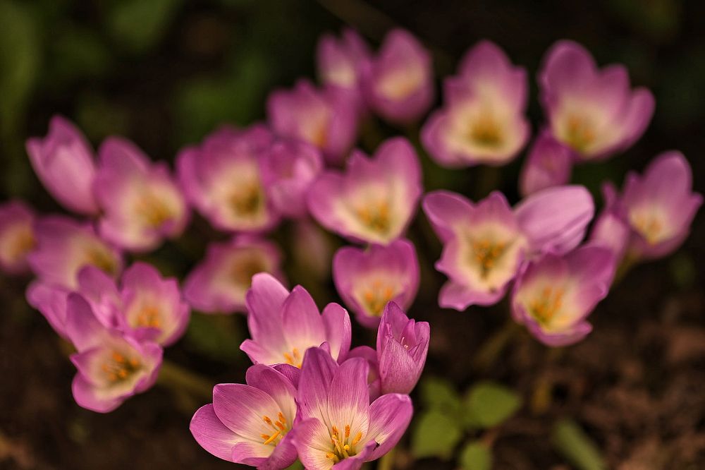 Photograph by Елена Одынец