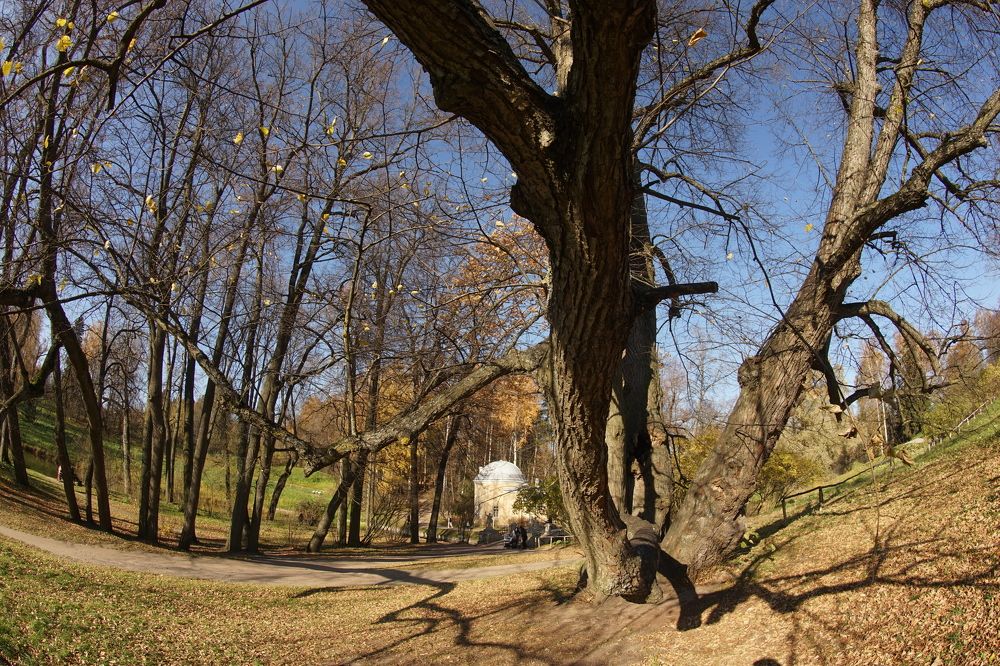 Photograph by Лилия
