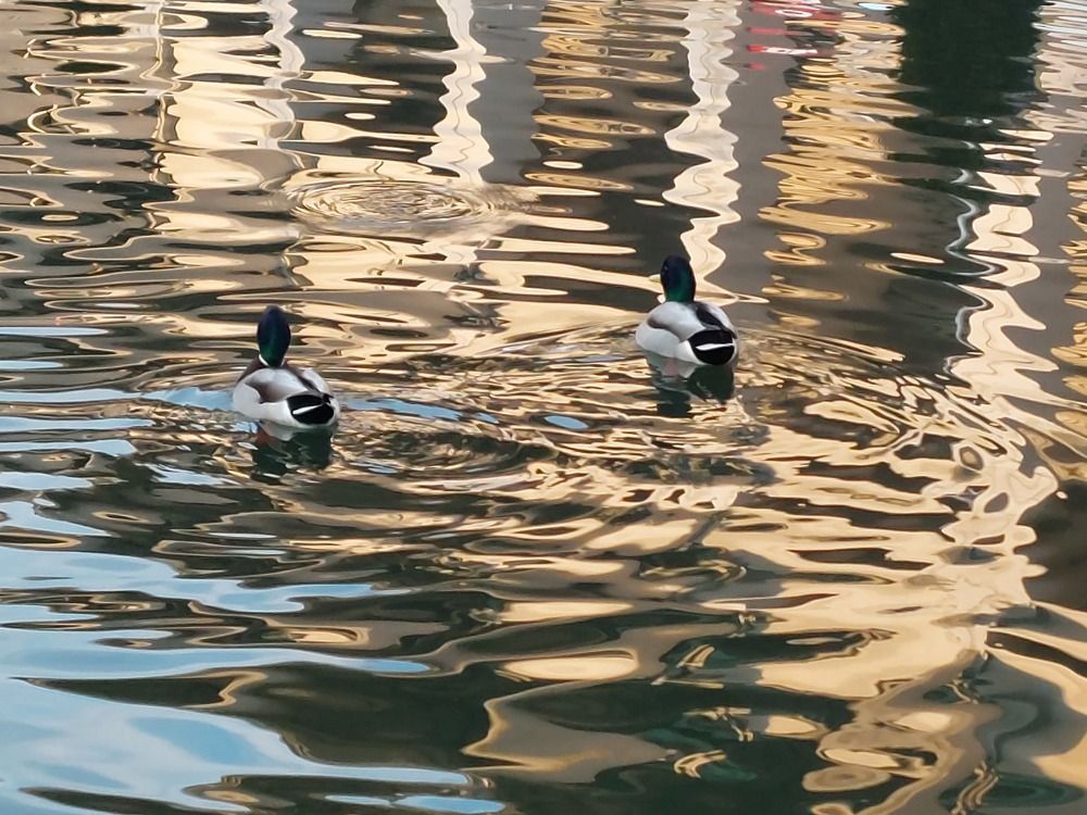 Photograph by Dafinka Sokoloska