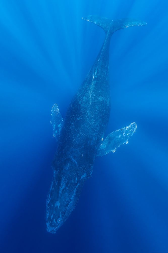 Photograph by Gustavo Costa