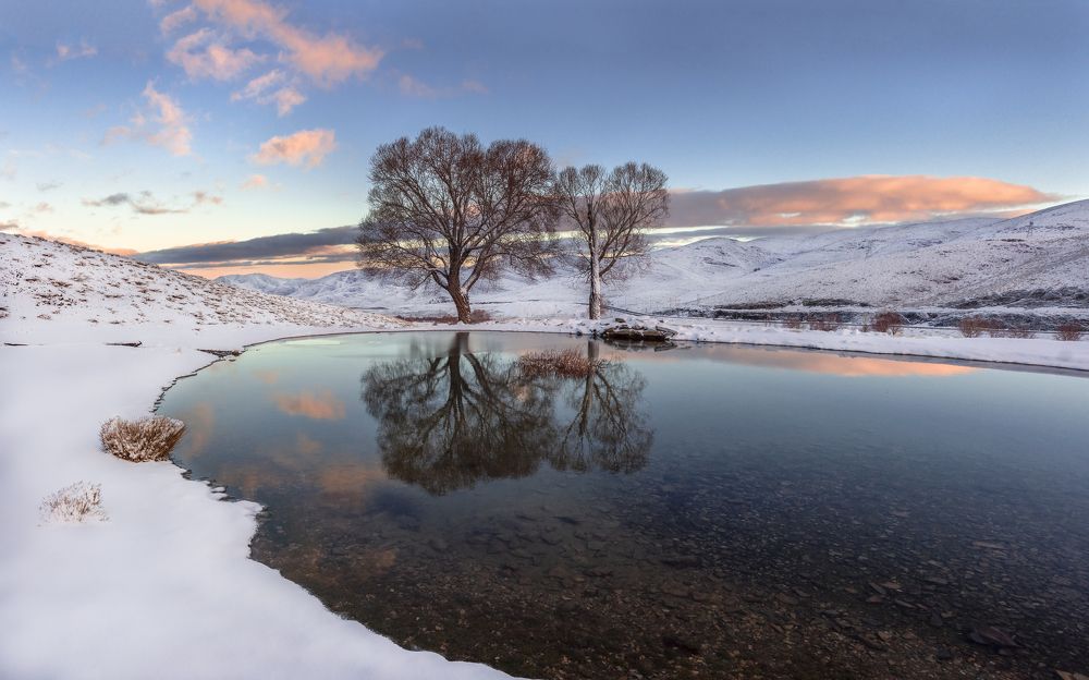 Photograph by majid arab