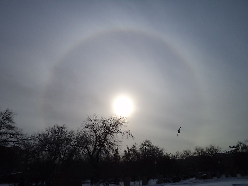 Photograph by Нурлан Кушкунов