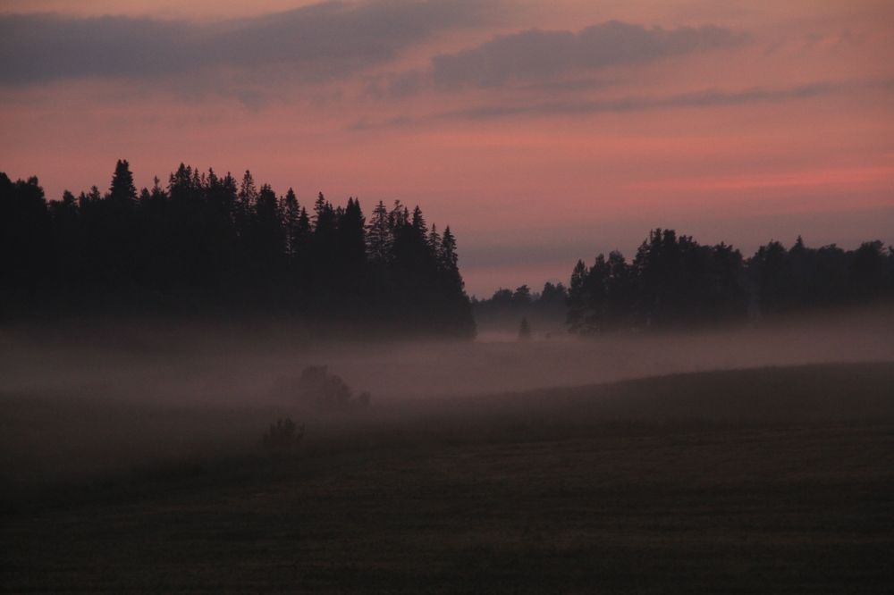 Photograph by 