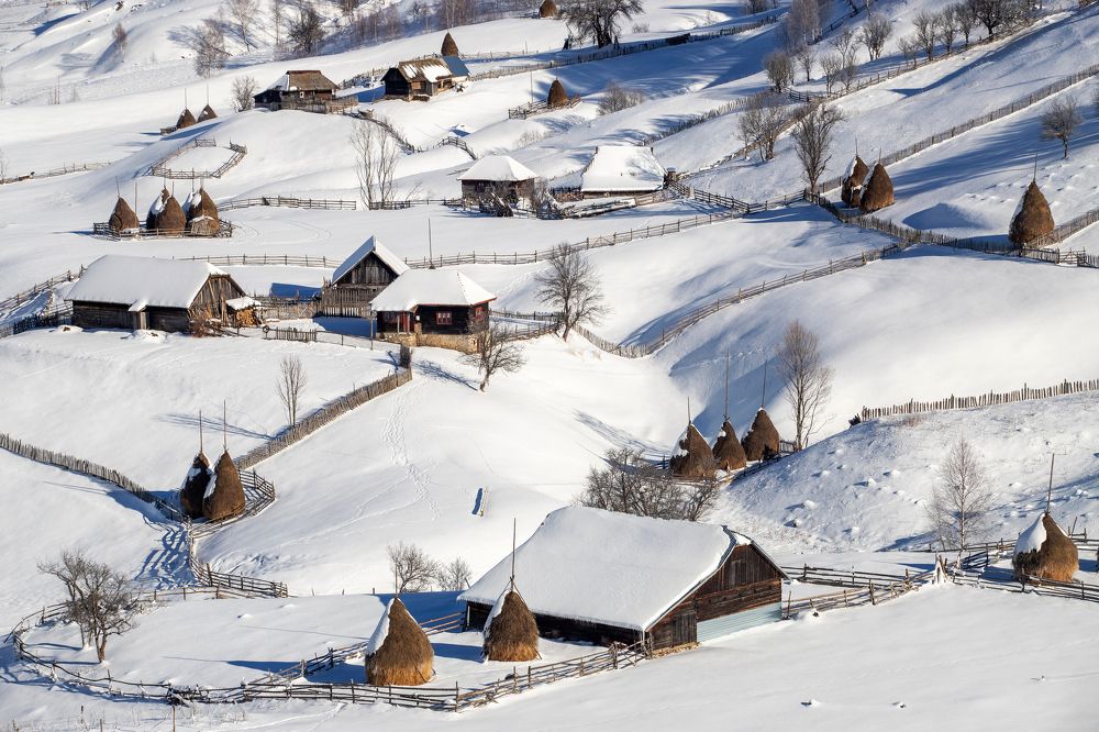 Фотография автора Marius Turc
