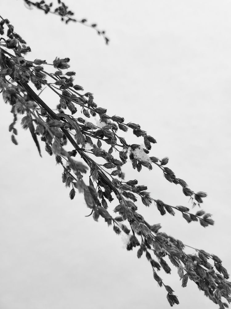 Photograph by Наталья Светлова