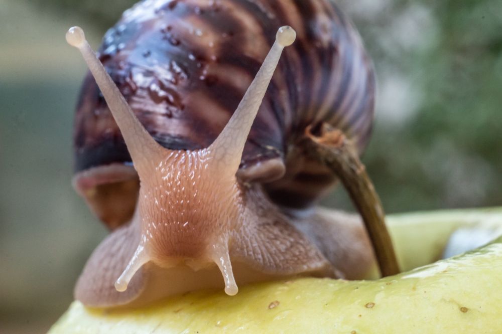 Photograph by Яна Соболева