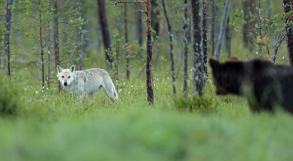 Познающие мир.
