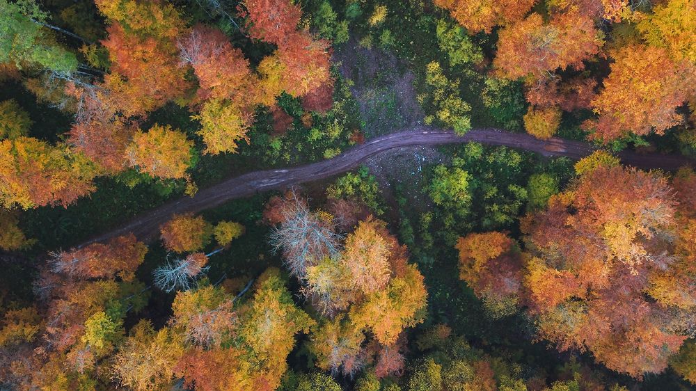 Photograph by George Alexandru Ghiuro