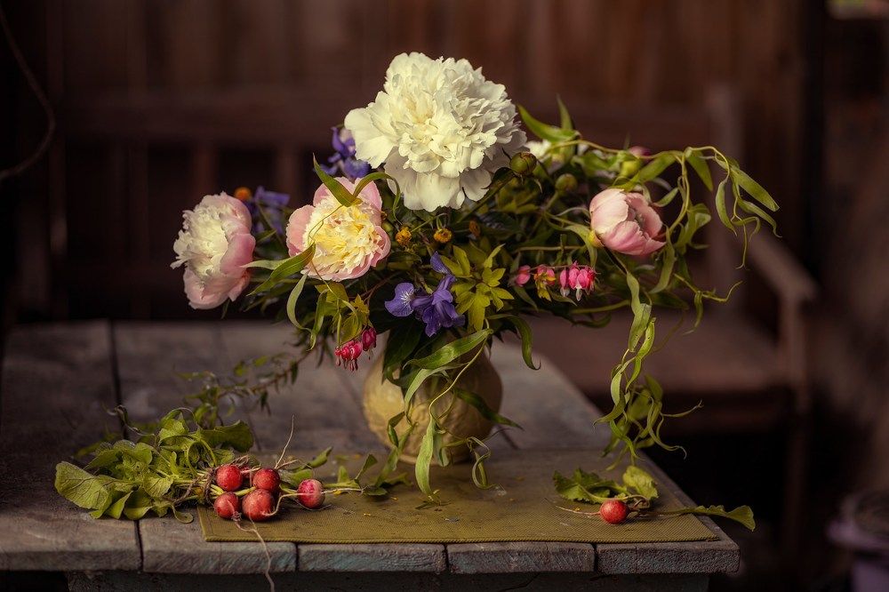 Фотография автора Валентина Петровна