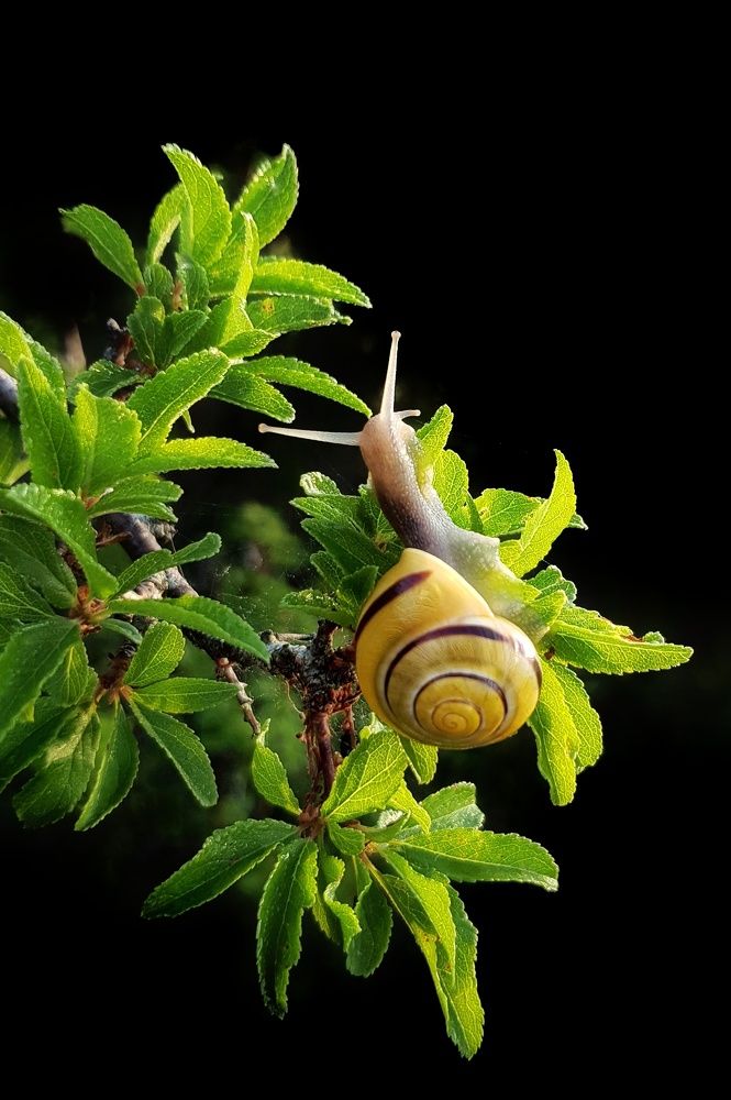 Photograph by Olga Weinberger