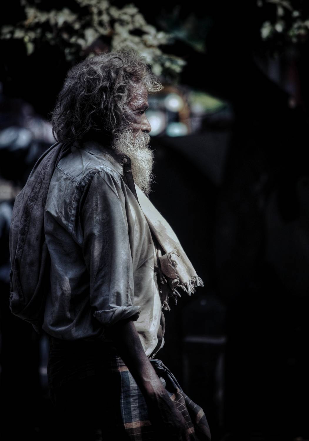 Photo #7306387