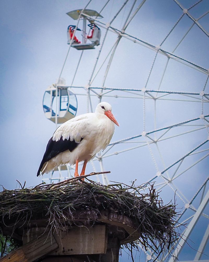 Photograph by Андрей Кузин