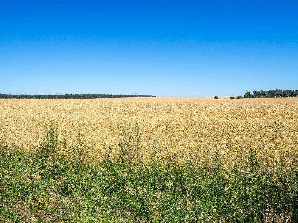 Photograph by Сергей